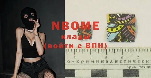 индика Беломорск