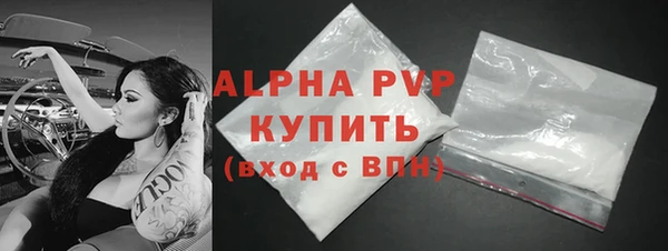 индика Беломорск
