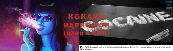 индика Беломорск