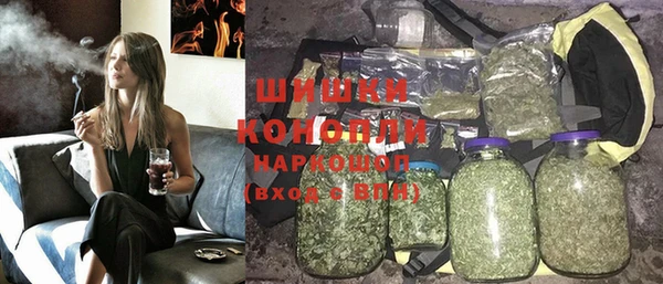 индика Беломорск
