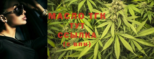 индика Беломорск