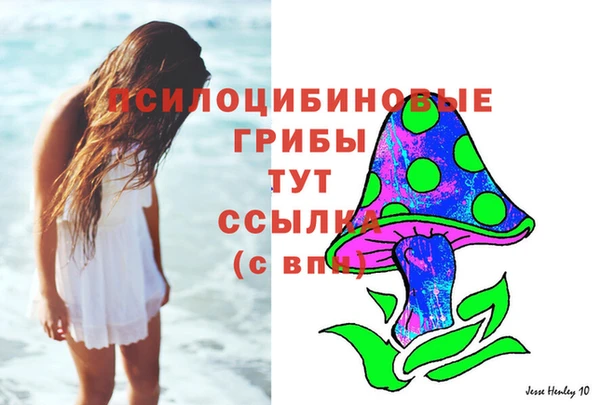 амф Белоозёрский
