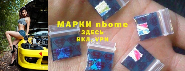 индика Беломорск